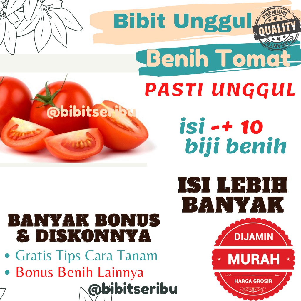 Bibit Tomat Benih Sayuran dan Buah Siap Tanam Lengkap Bisa untuk Hidroponik