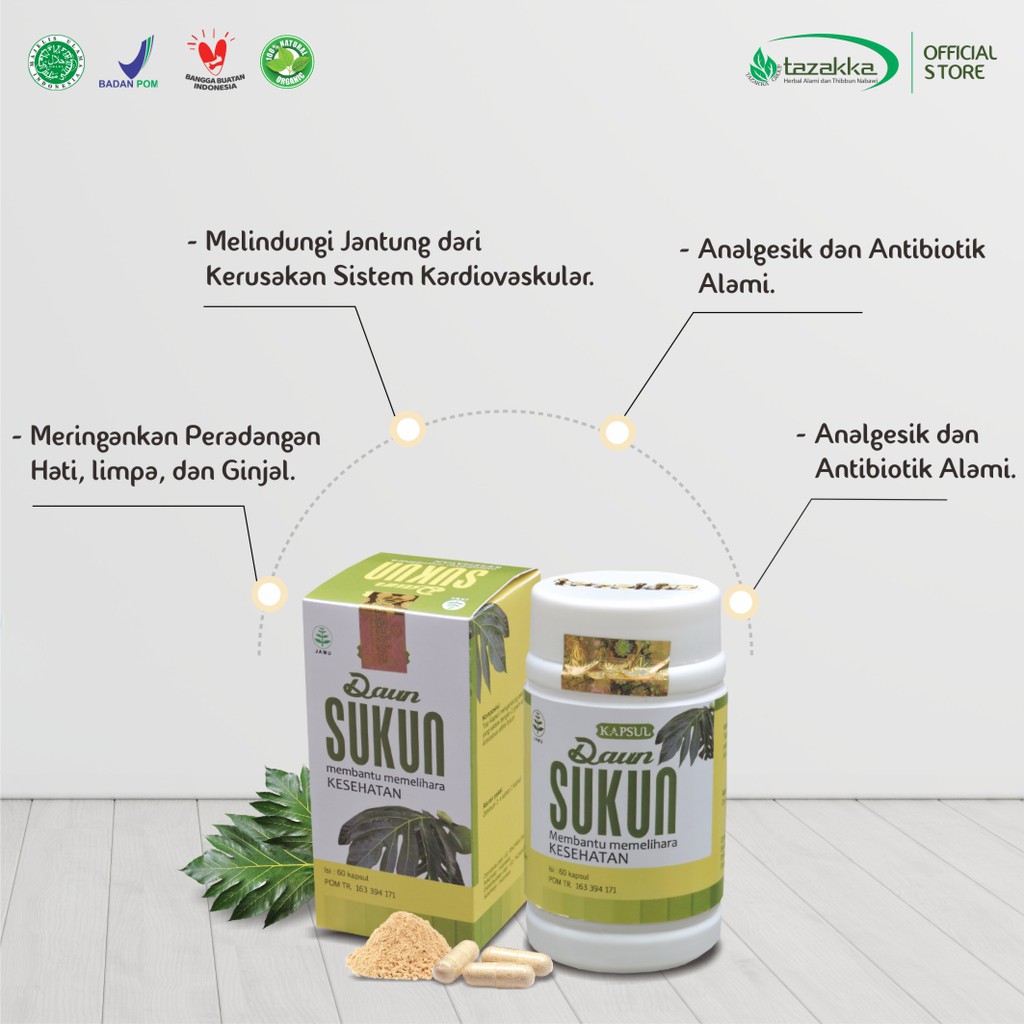 Obat Ginjal Obat gagal Ginjal | Kapsul Herbal DAUN SUKUN Tazakka isi 60 | HALAL BPOM ORIGINAL