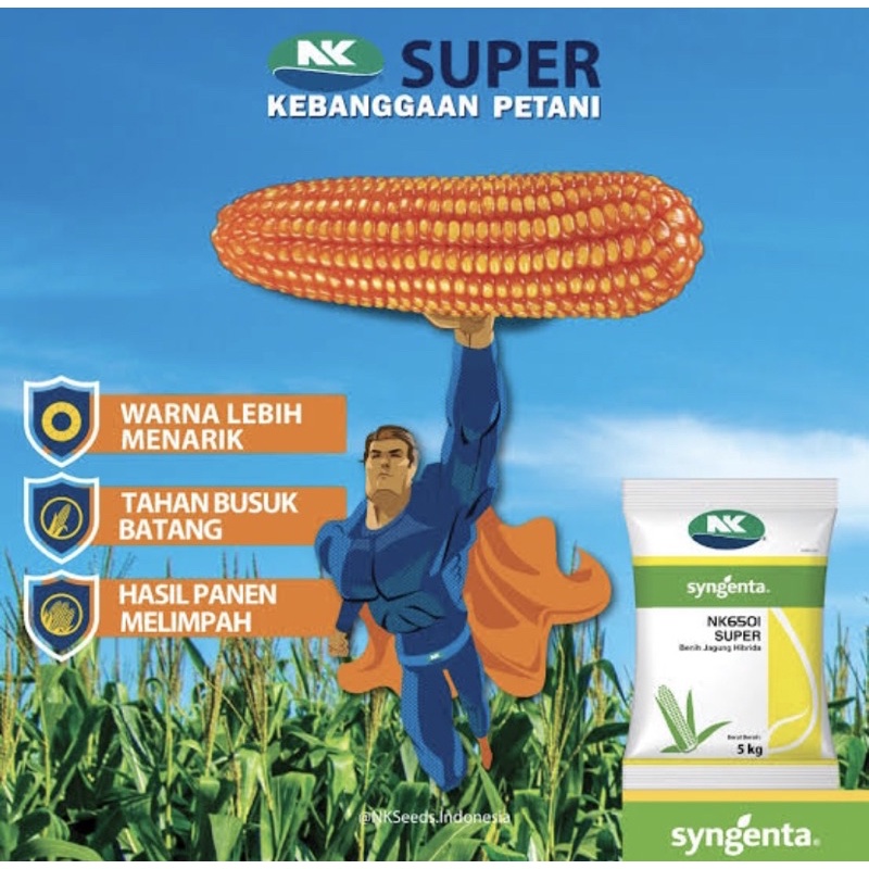 benih jagung NK 6501 / NK Super