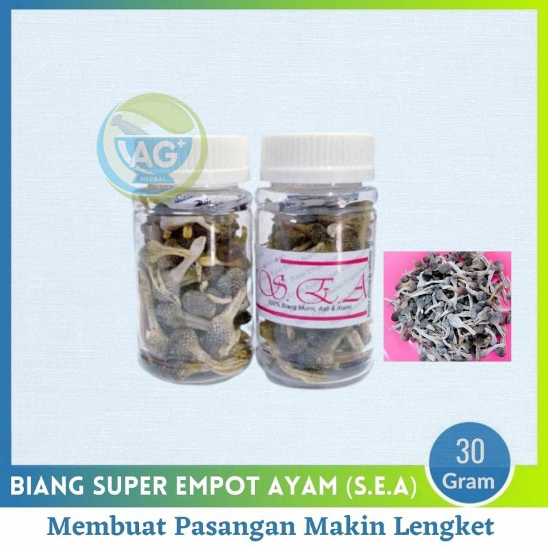 200-300 pcs (30gr) SUPER Empot Ayam PUTIH Asli UTUH Empot Biang Mpot utk keputihan kesed keset