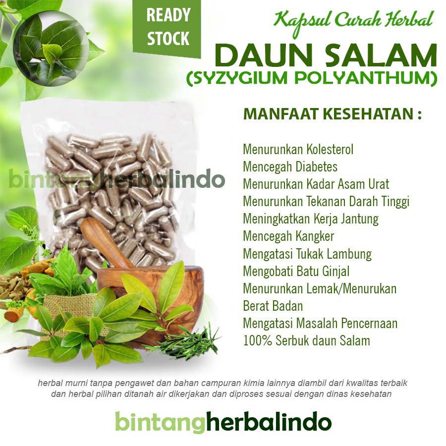 DAUN SALAM 100 Kapsul Herbal Peradangan Tukak Lambung Batu Ginjal Mata
