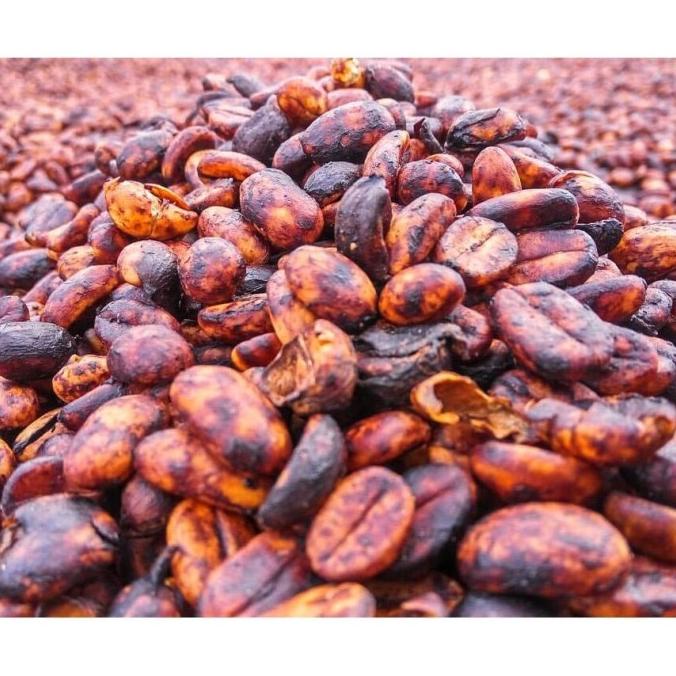 

:>:>:>:>] Mokhabika Specialty Coffee Gayo Kenawat Black Honey 200 Gr