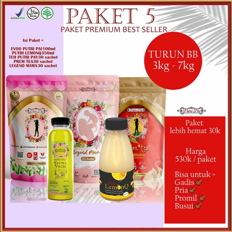 

PAKETBUSUI