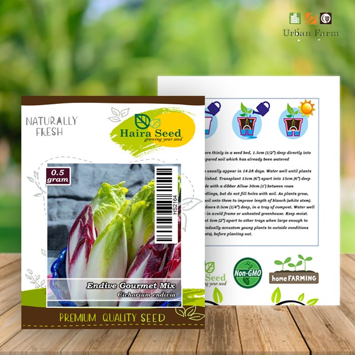 Benih-Bibit Chicory Endive Gourmet Mix (Haira Seed)