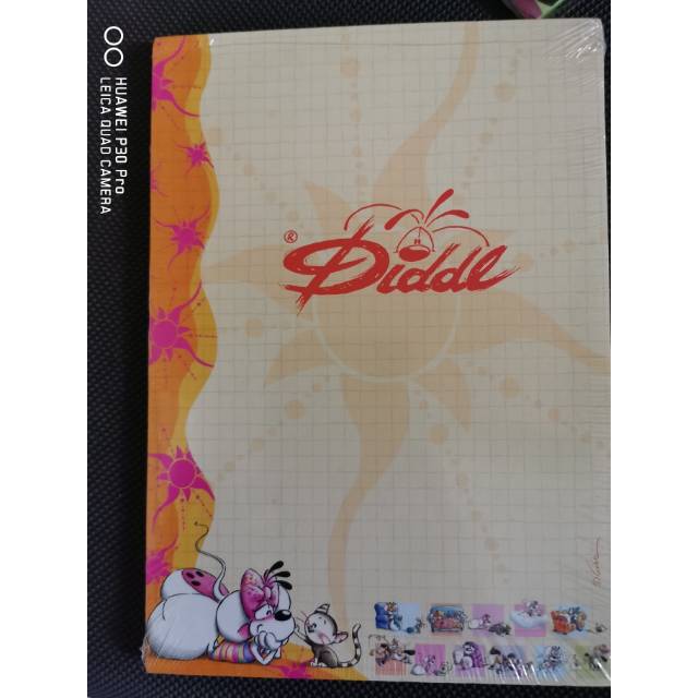 

Notebook diddle