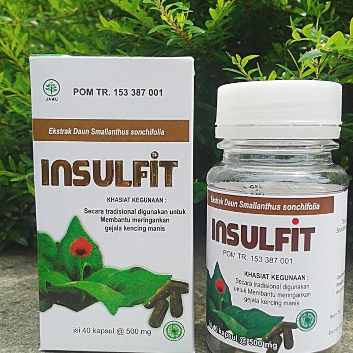 kapsul Daun insulin Insulfit Bermanfaat Bagi Penderita Diabetes Gula Darah Isi 40 kapsul