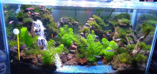 Pupuk Cair Ferti One Macro+ 200ml