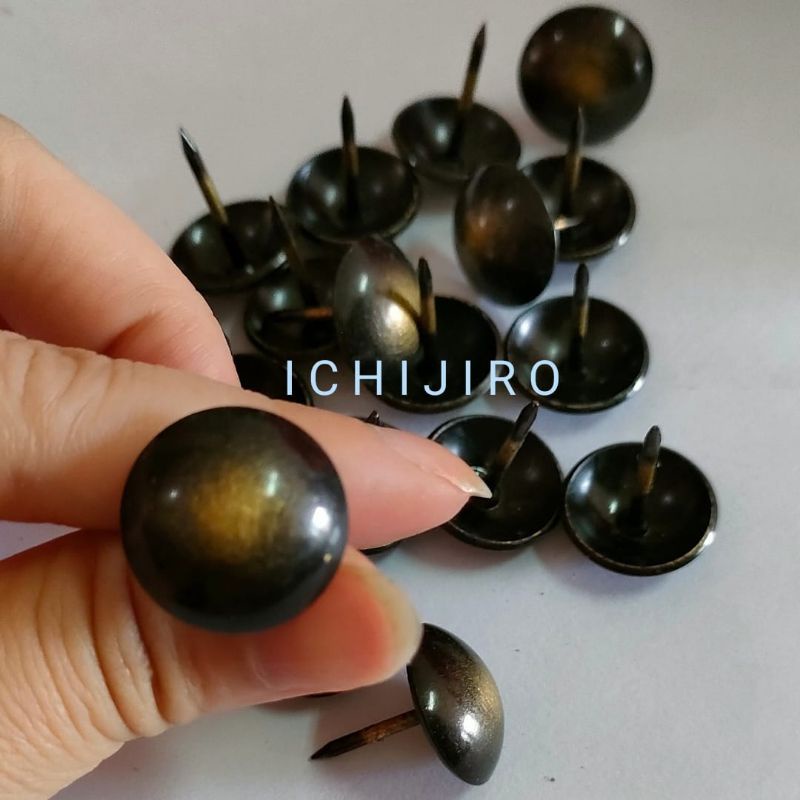 Paku mata kucing paku pines sofa - 11mm