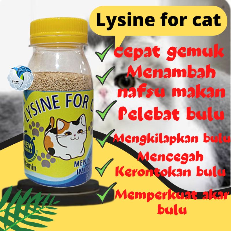 Vitamin Kucing Penambah nafsu makan Penggemuk Kucing Pelebat Bulu Kucing Kitten