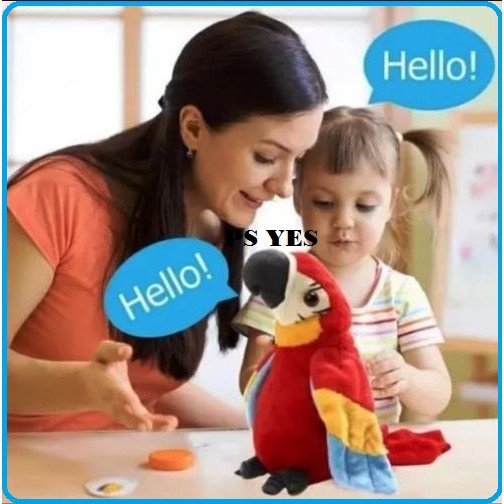 Disc Talking Bird Burung Beo Kakaktua. Macao. Bisa Bicara Dan Bergerak
