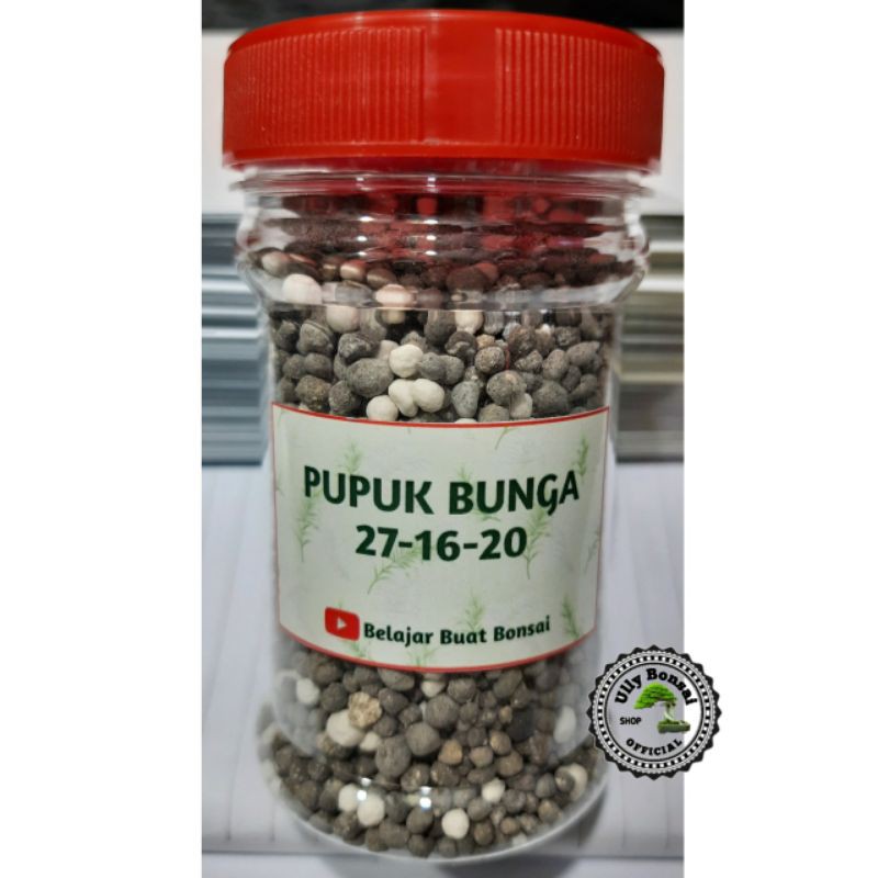 PUPUK BUNGA CHILIE NITRATE 150 GRAM