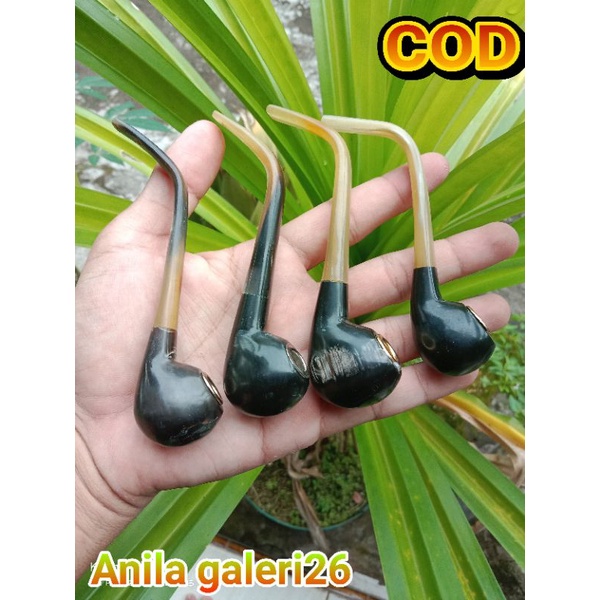 once pipa model cangklong tanduk sapi