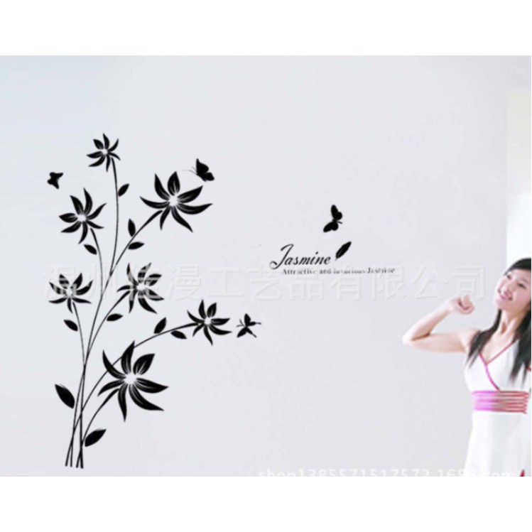Dinding Stiker Transparan / Wall Sticker / (50x70cm) C01 TKM