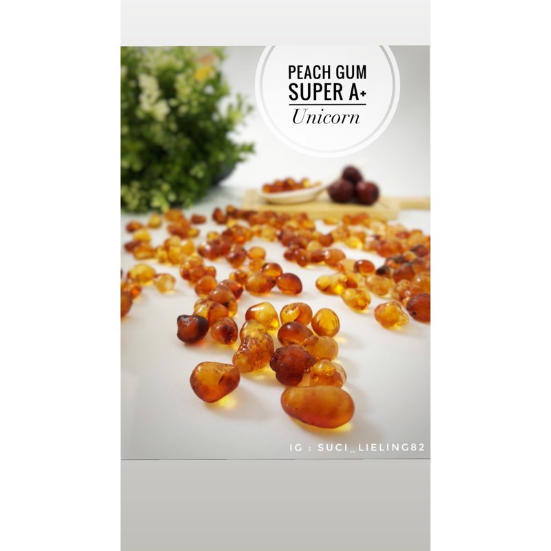 

Peach Gum Kualitas SUPER dan SUPER A+ lisensi Singpore berat 50gr