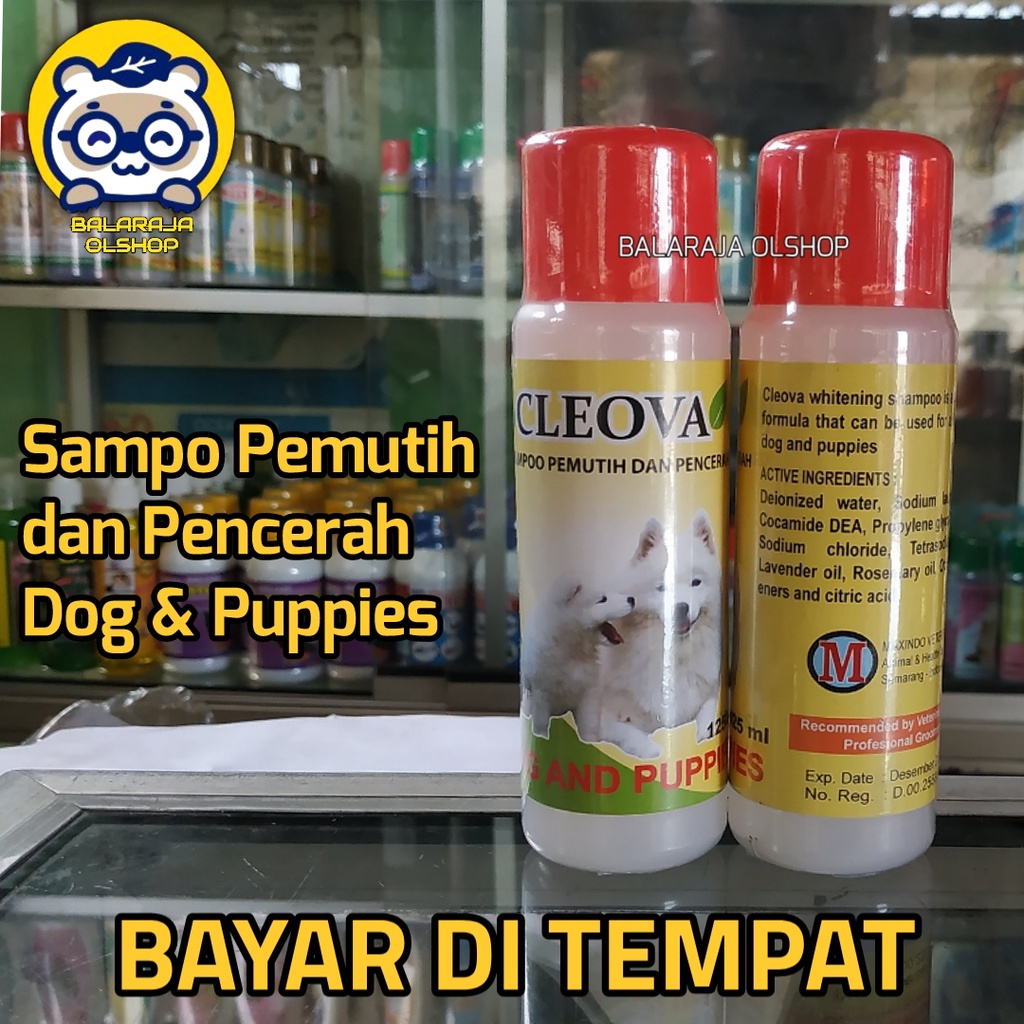 SAMPO ANJING PUTIH PENGHILANG NODA PADA BULU ANJING CLEOVA DOG ISI 125 ML