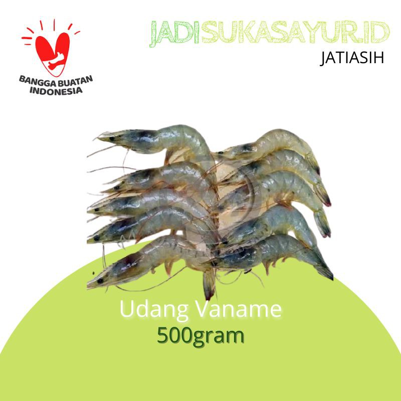 

UDANG VANAME SEGAR 500GRAM - UDANG SEGAR BEKASI