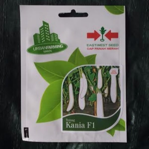 Benih Bibit Biji Terong Terung Kania F1 Putih Hibrida Cap Panah Merah