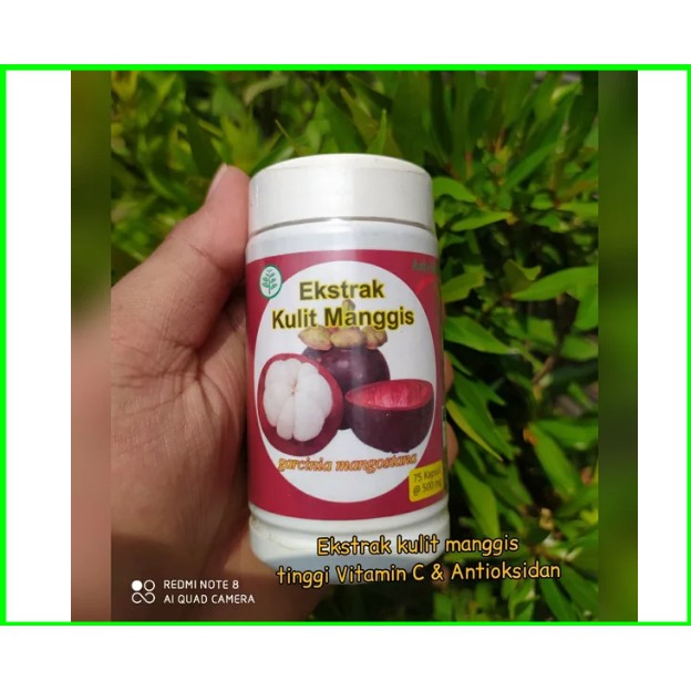 KULIT MANGGIS Kapsul Ekstrak Kulit Manggis - Daun Sirsak - Extrak Kulit Manggis - Exstrak Manggis