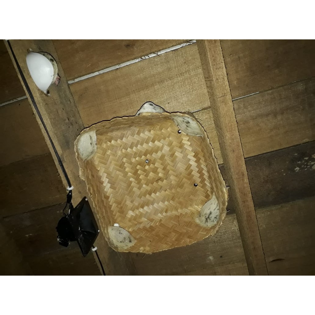 Besek bakul Walet Ukuran 25 x 25 cm isi 6 pcs