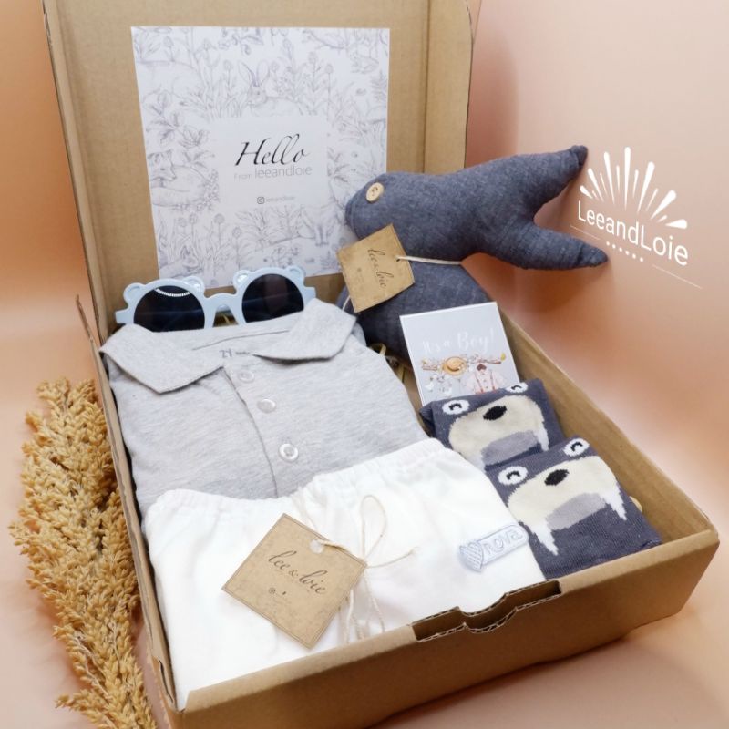 

hampers gift set kado balita laki-laki brand Zippy