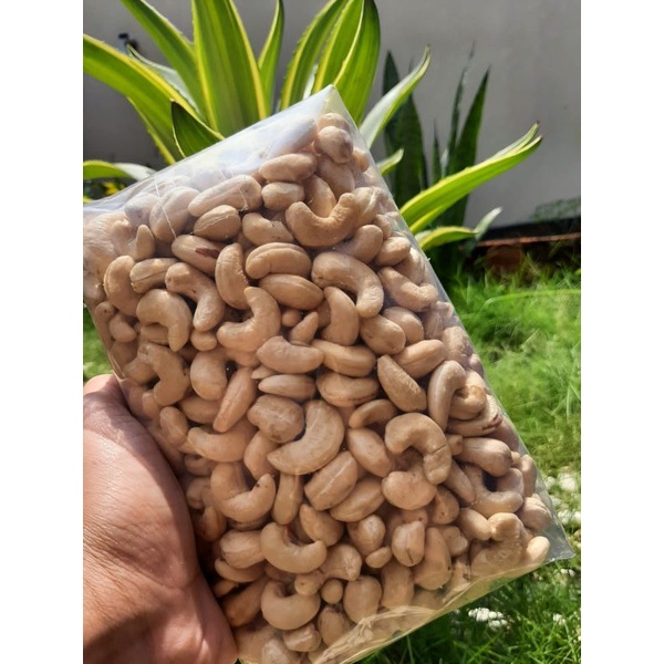 

Kacang Mete Asli Wonogiri