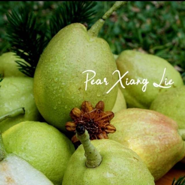 

Pear xiang lie / buah pir /buah manis
