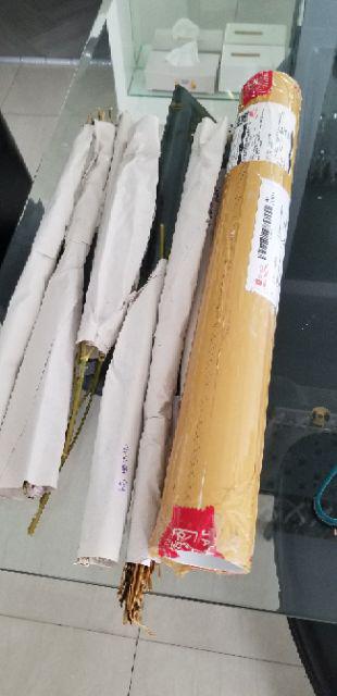 Acroclinium Rodanthe Manglesii Bunga Kering Asli 1 Ikat Import Dried Flower Preserved Flower