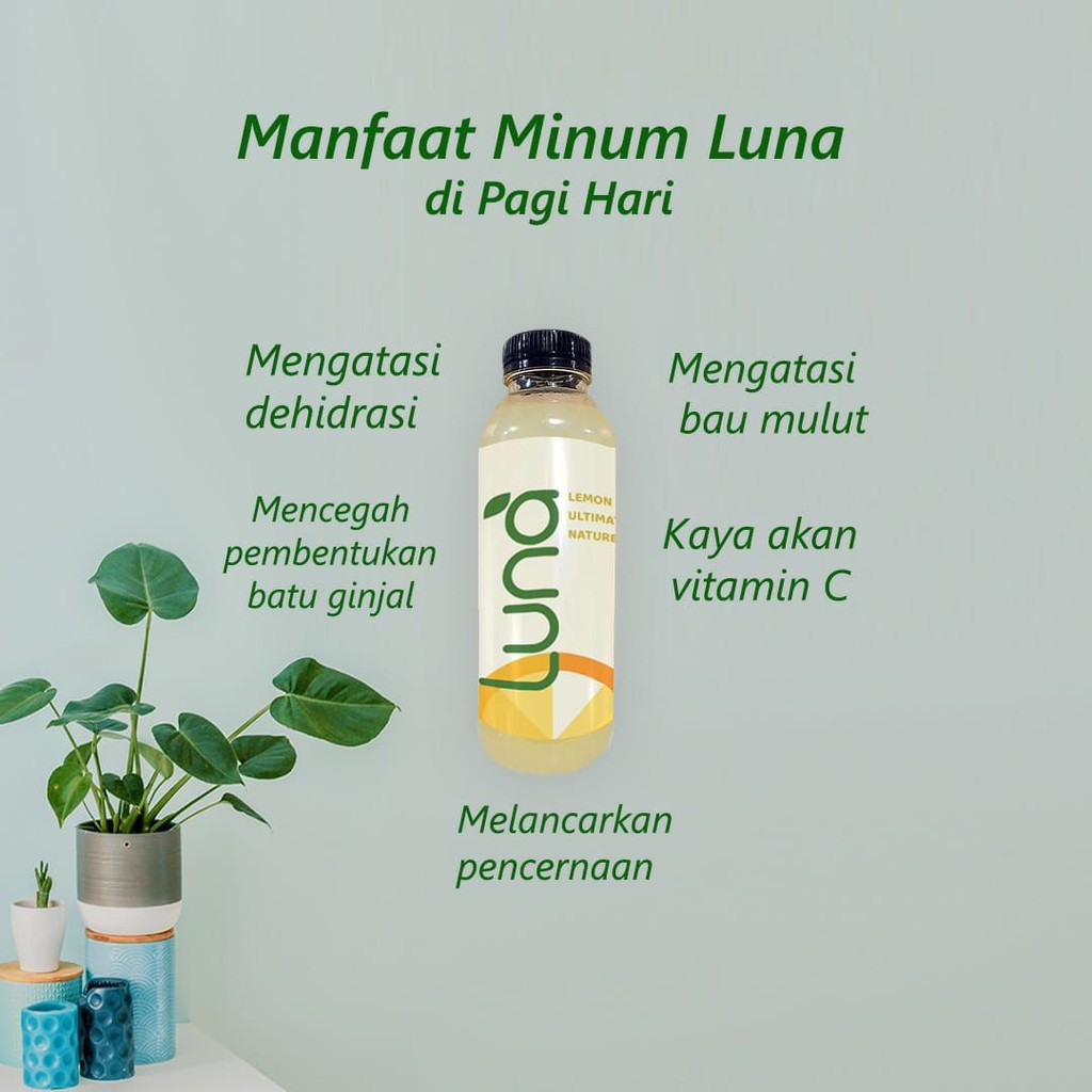 

Sari Lemon 100% Luna Lemon Sumatera