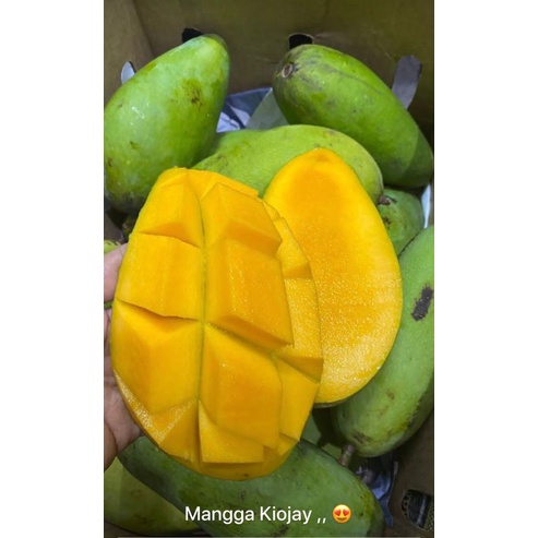 

Mangga Harumanis 1kg termurah |buah segar bandung|nuri fruits|mangga buah|buah bandung