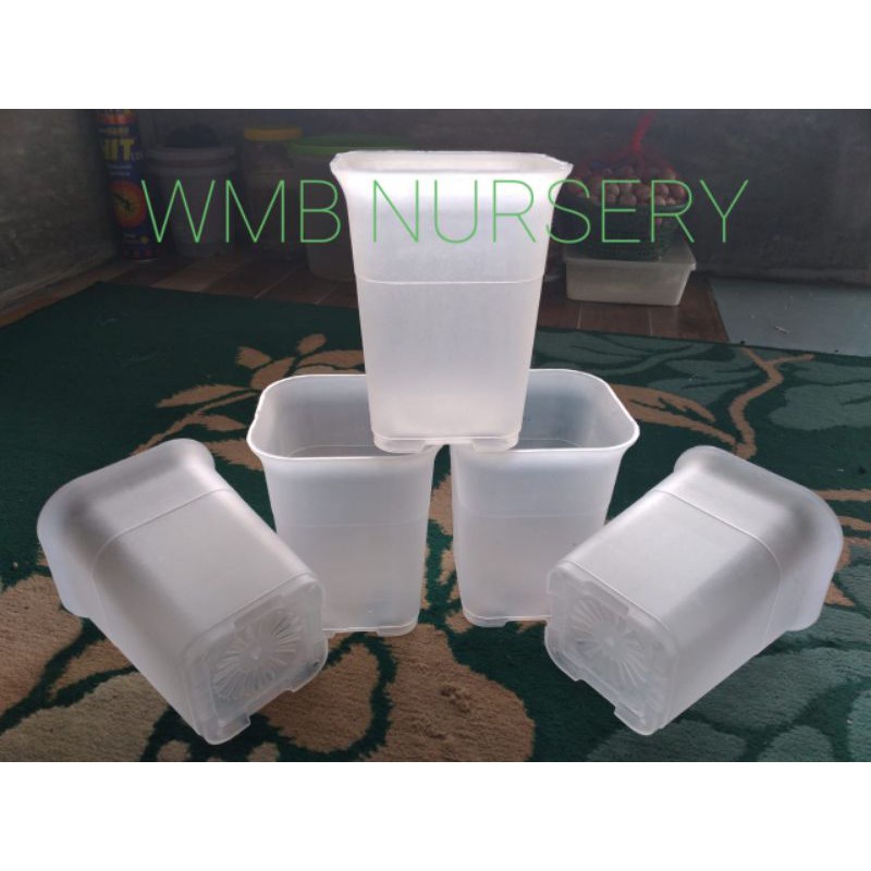 Pot NKT Kotak 12 bening/transparan