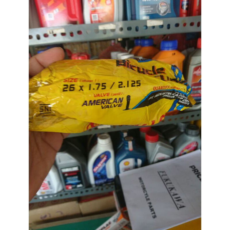 ban dalam 26 swallow