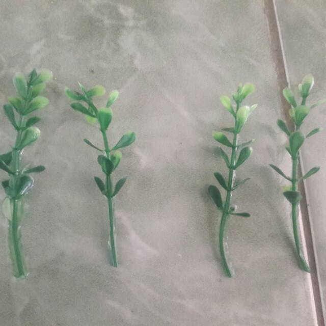 

Daun hiasan mahar