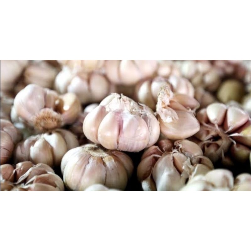 

bawang putih