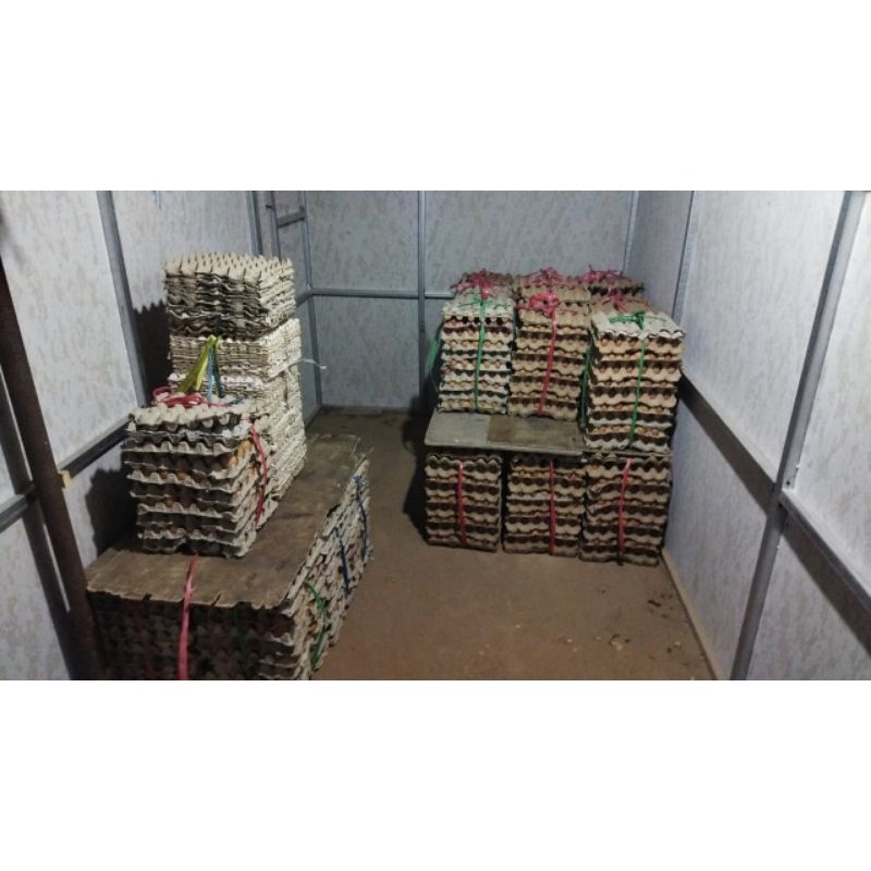 

Supplier Telur M. B. S.