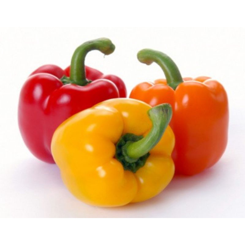 

Paprika Merah/Kuning 250 gram Fresh SAYUR GEDEBAGE PRAKTIS BANDUNG