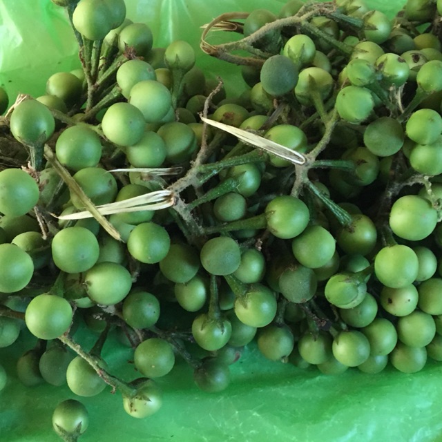 

Buah cepokak tekokak segar 1 kg