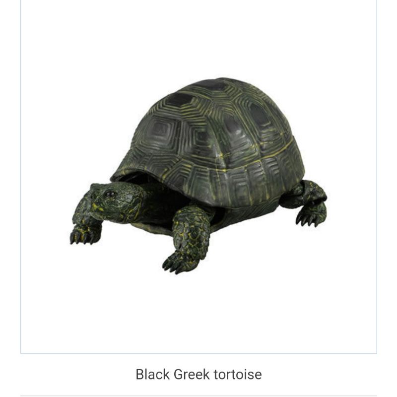 black greek tortoise gashapon figure dango mushi turtle