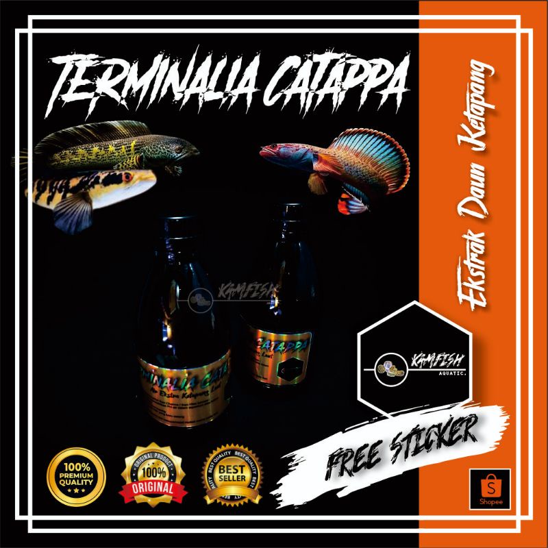 AIR KETAPANG EKSTRAK GARAM IKAN / OBAT JAMUR IKAN CHANNA