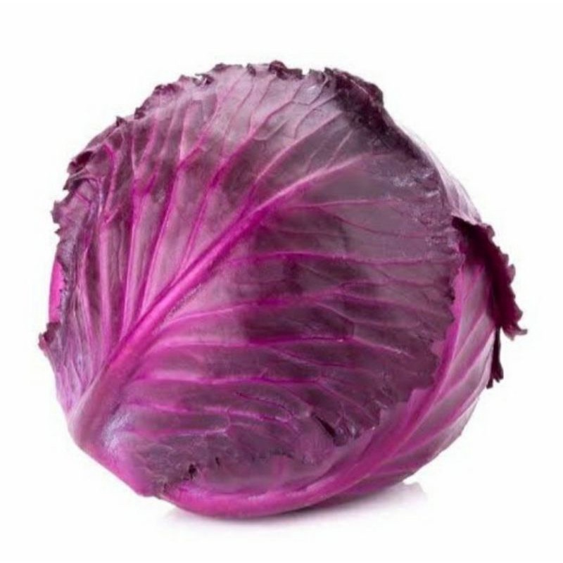 

Bisa Kirim Instan - Sayur Kubis Ungu 500 gram