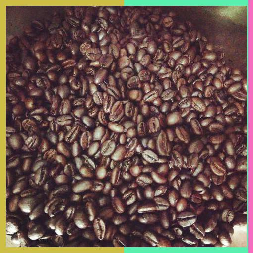 

Kopi Biji Robusta Lampung 500 Gram Merek Brazica Gold Quality Kopi Biji