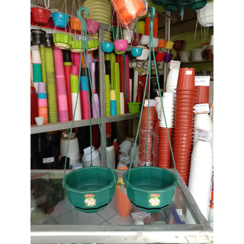 Pot Bunga Gantung Lion Star Gardenia 5 Hijau