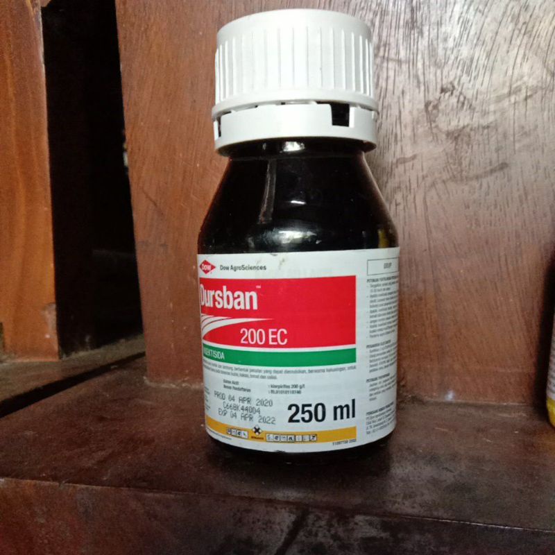 dursban insectisida termurah