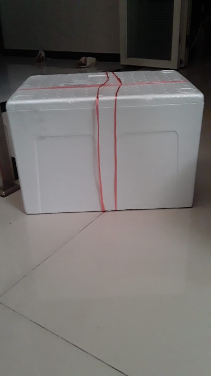 Box Sterofoam / Cool Box Besar