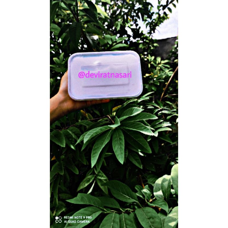 SLIME TOFU 500 // SLIME MURAH