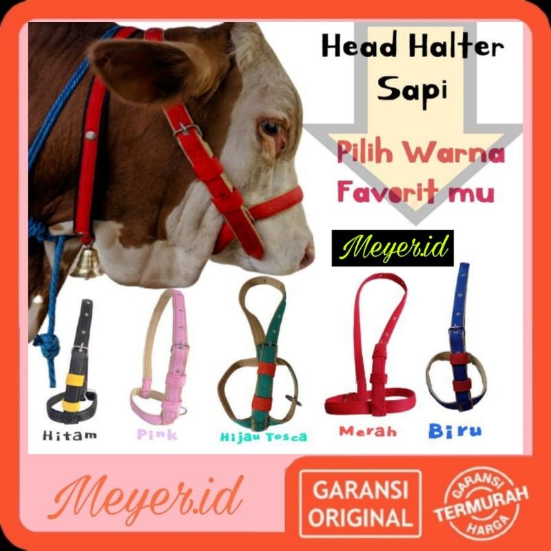 [COD] HALTER SAPI ,KAMBING (WARNA) / BRANGUS SAPI - TERSEDIA UKURAN S, M, L, XL