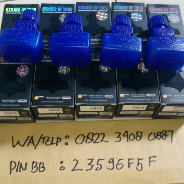 Hammer Hammer Of Tour Original Shopee Indonesia