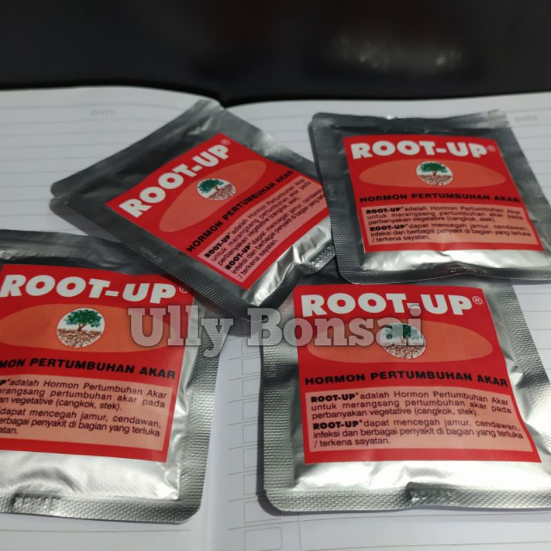 ROOT UP REPACKING 10 Gram