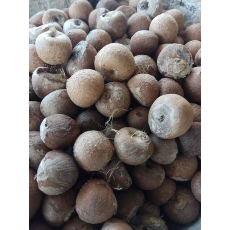 

pinang kering 1kg