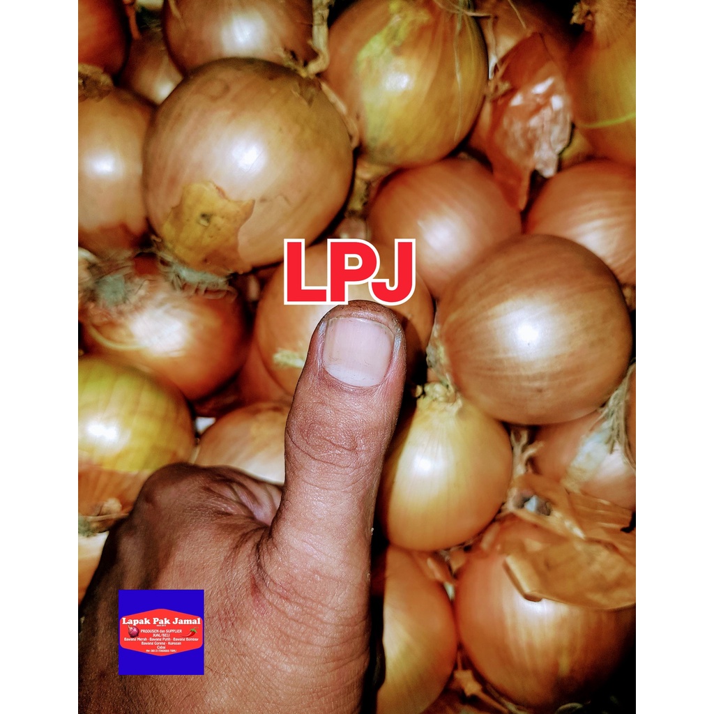 

Bawang BOMBAY - 1 Kg - LPJ