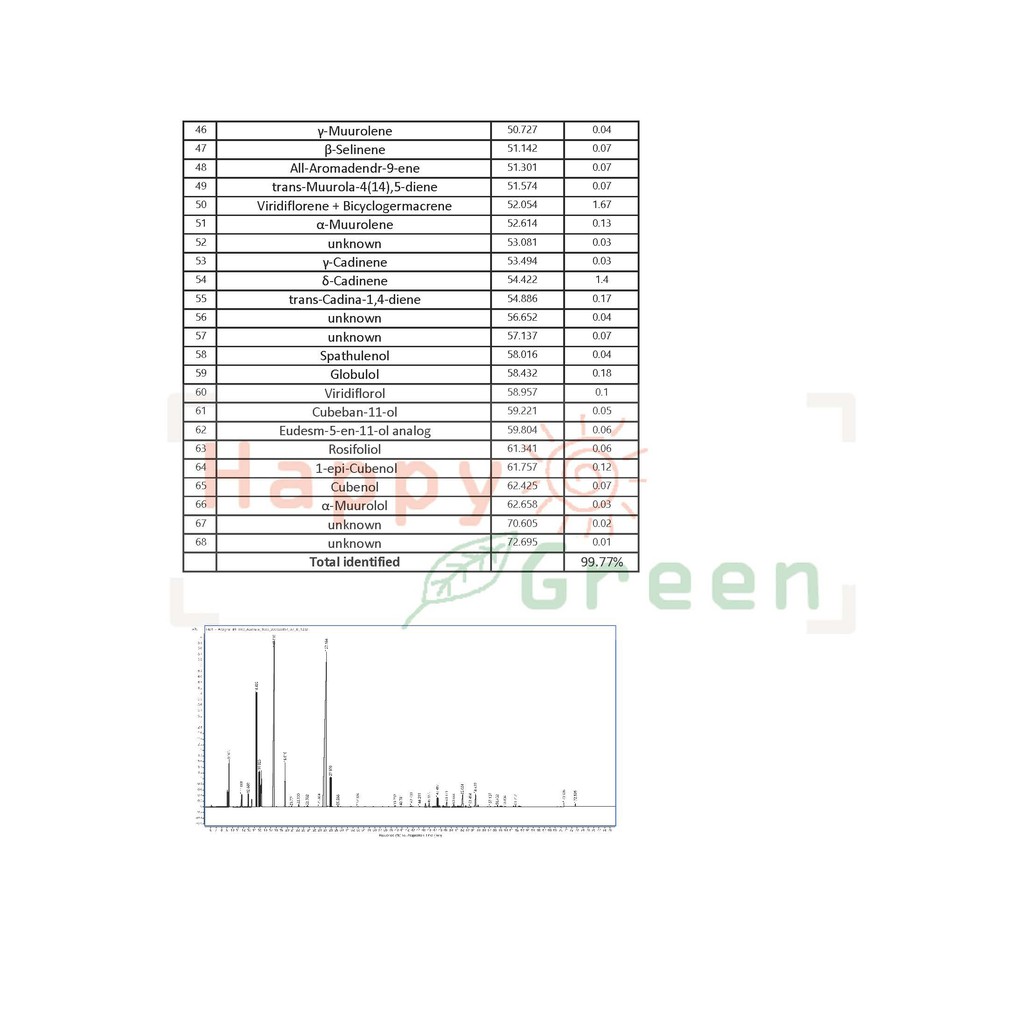 BPOM Happy Green Tea Tree Essential Oil - Minyak Atsiri Tea Tree Murni Natural Garansi Uang Kembali
